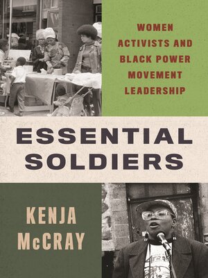 cover image of Essential Soldiers
